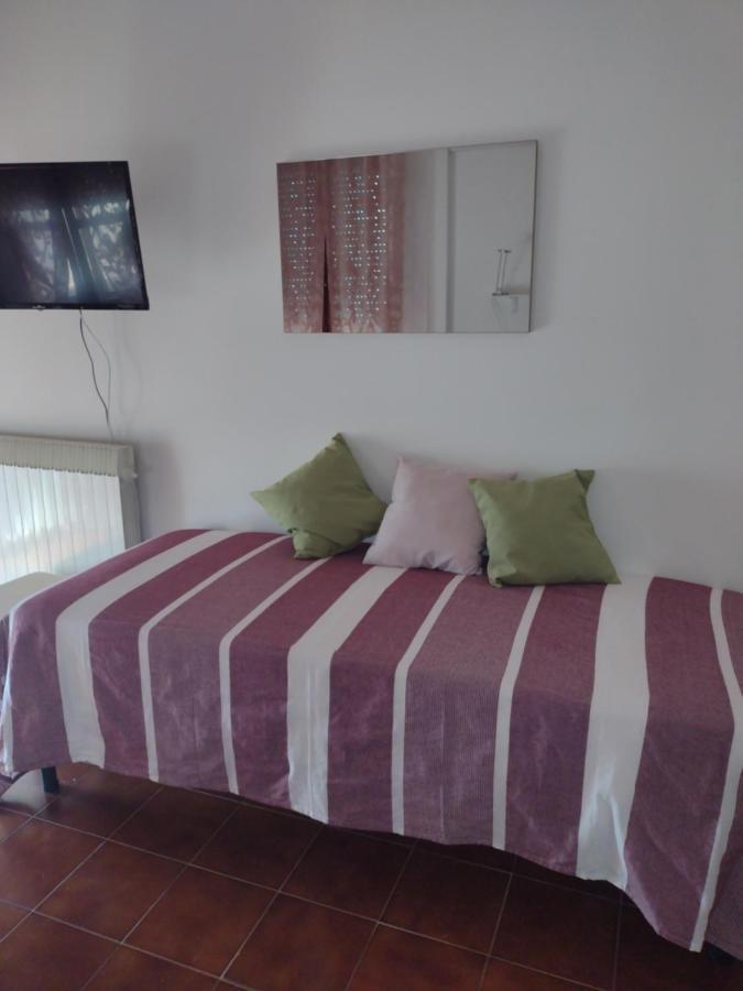 B&B L'Orchidea Πίζα Εξωτερικό φωτογραφία