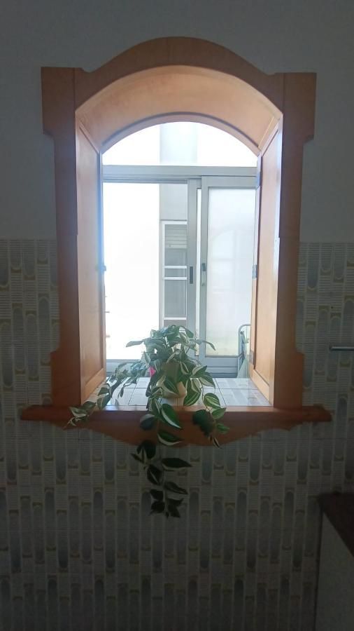 B&B L'Orchidea Πίζα Εξωτερικό φωτογραφία