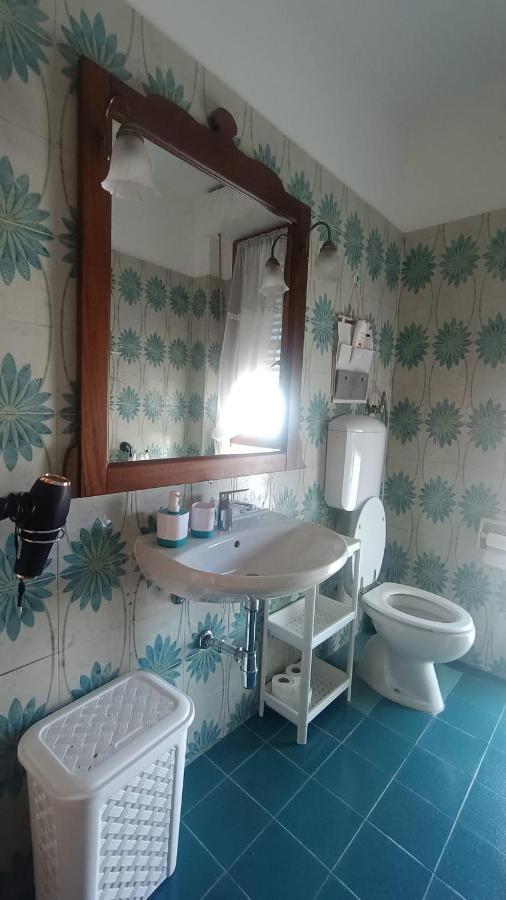 B&B L'Orchidea Πίζα Εξωτερικό φωτογραφία